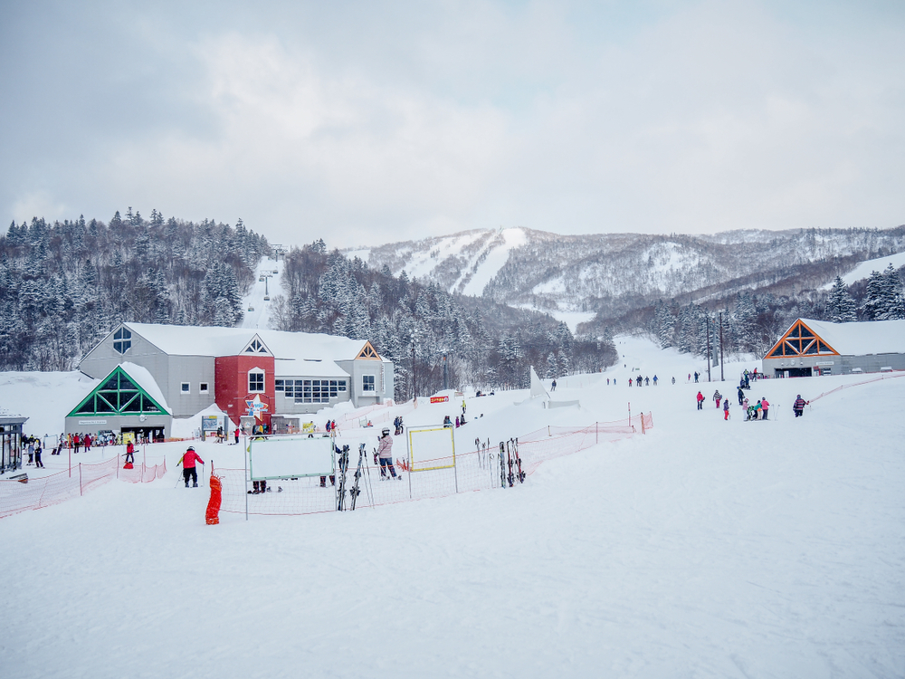 北海道 SH玩雪三合一 雙溫泉五日